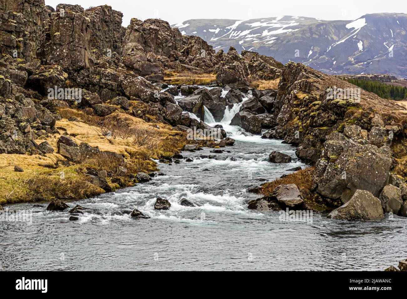 Drekkingarhylur hires stock photography and images Alamy