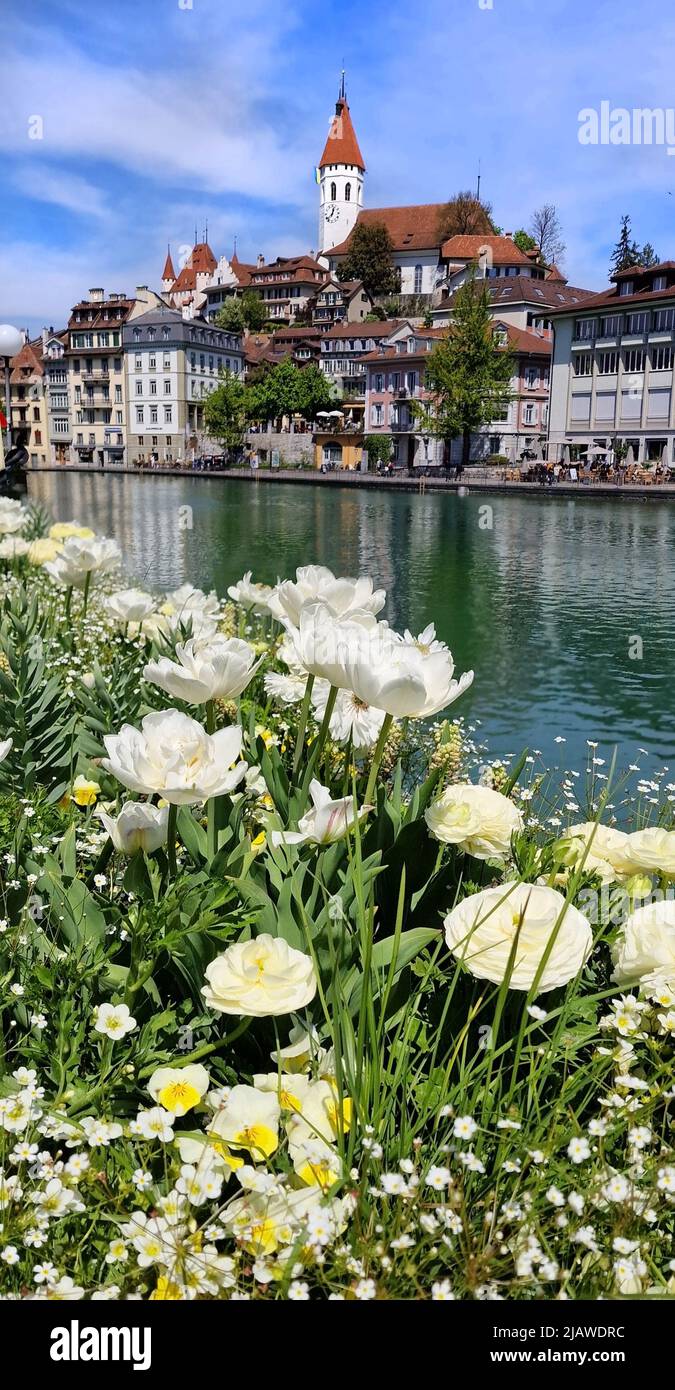 Travel in Switzerland - beautiful town Thun. Lake Thun, Bern canton Stock Photo