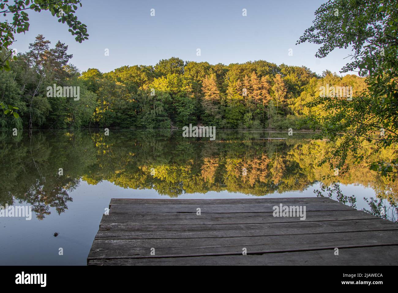 Landscapes and Nature Niederrhein Schermbeck Wesel Germany Deutschland