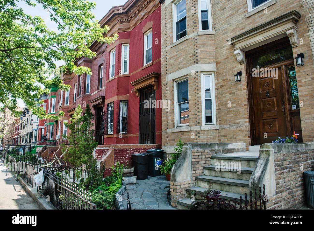Tree lined street with brownstone homes in Crown Heights, Brooklyn, New York City, New York