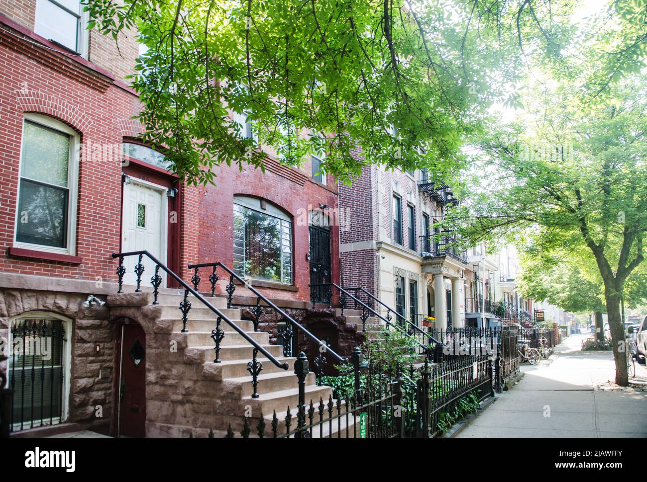 Tree lined street with brownstone homes in Crown Heights, Brooklyn, New