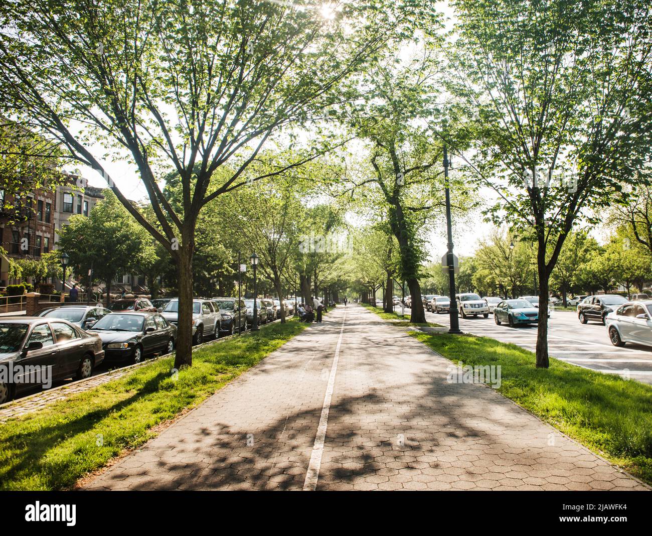 Eastern Parkway Bike Path, Crown Heights, Brooklyn, New York City, New