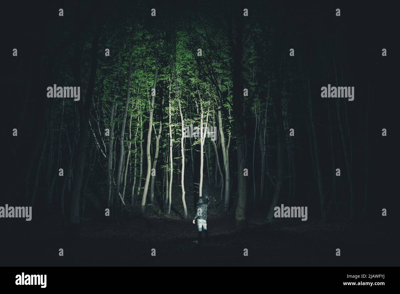 Men Inside Dark Woodland with Powerful LED Flashlight Brightening the