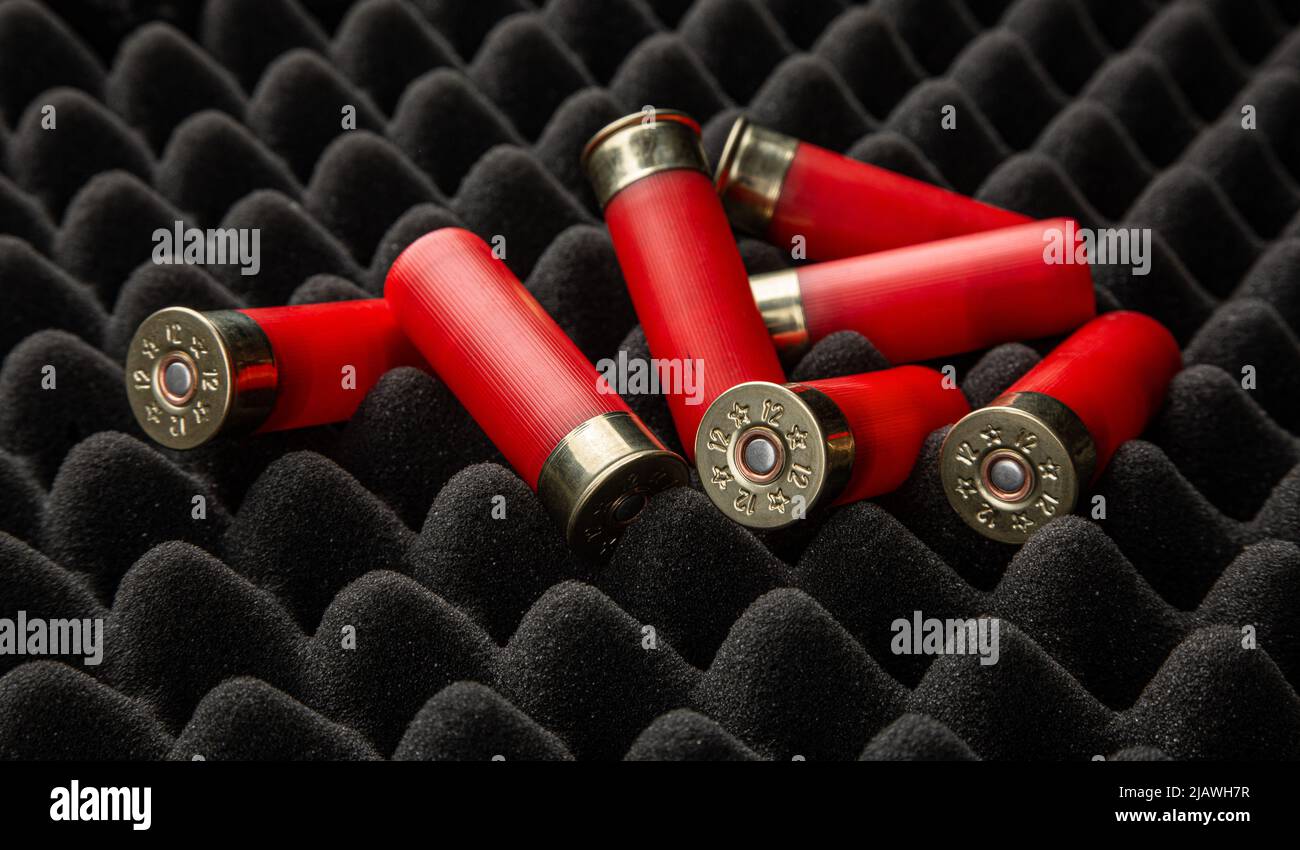 Shotgun shells on foam rubber. Ammunition for 12 gauge smoothbore weapons. Hunting ammunition. Dark background. Stock Photo