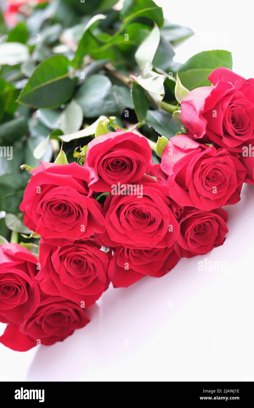Beautiful bouquet of red roses lies on white background Stock Photo - Alamy