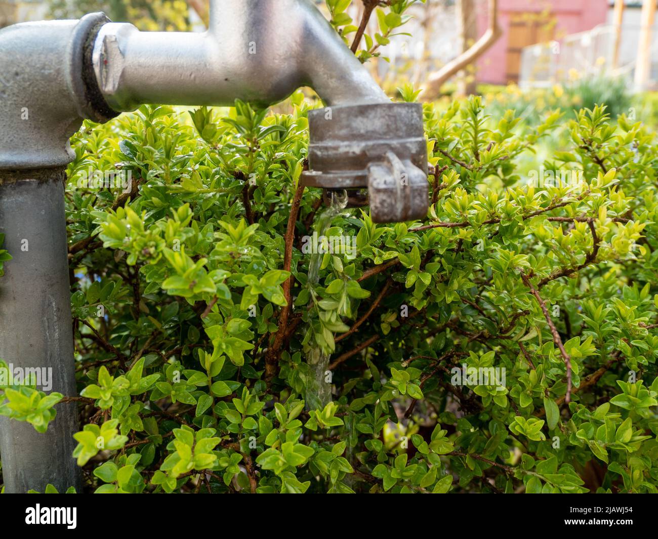 View of Irrigation system in the park. Irrigation system Stock Photo - Alamy