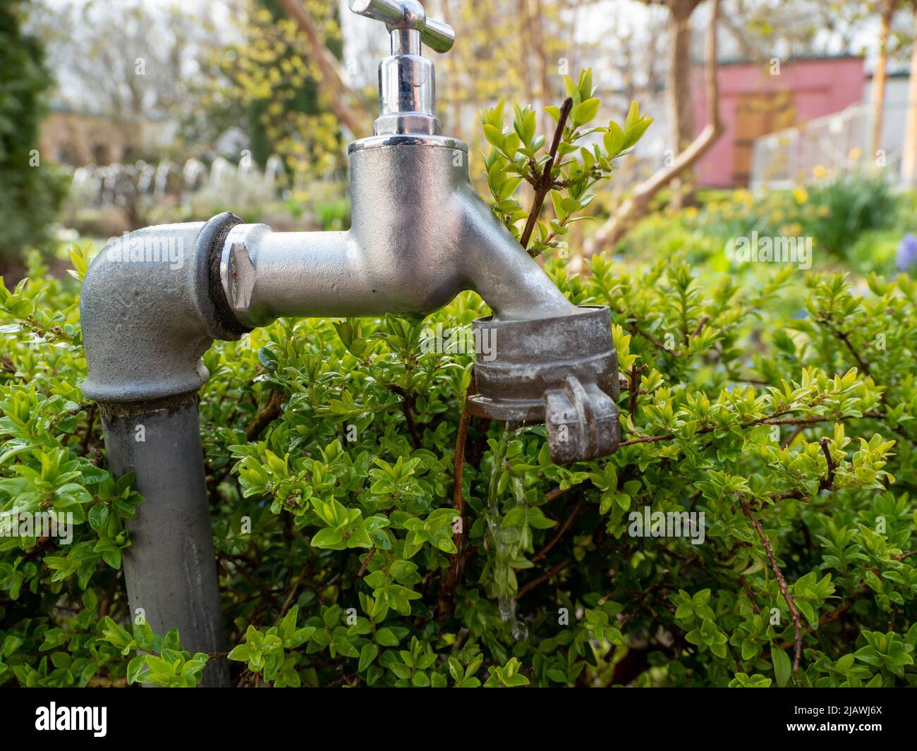 Irrigation system in the park. Irrigation system Stock Photo - Alamy