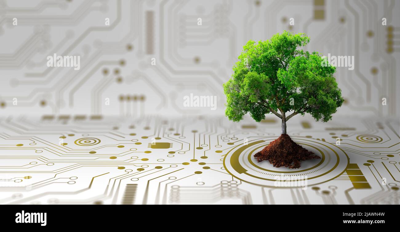 Growing tree with soil on the converging point of computer circuit board. Nature with Digital Convergence, Technological Convergence. Green Computing. Stock Photo