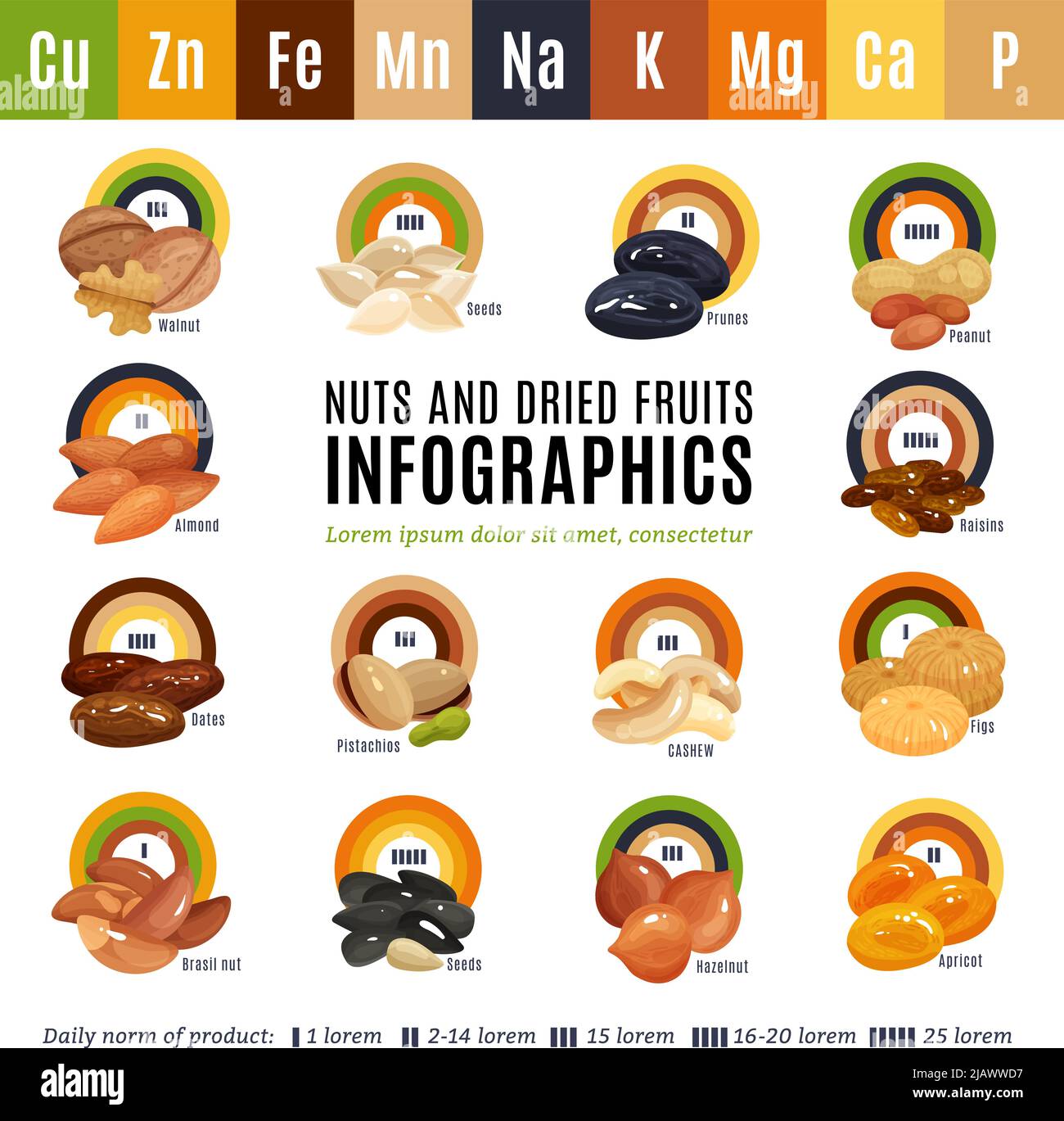 Flat design infographics presenting information about nuts and dried