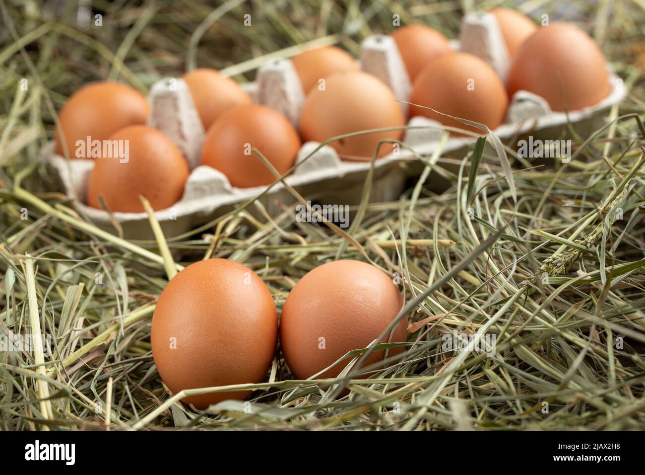 Chicken eggs in a tray and in hay. Farming concept Stock Photo - Alamy
