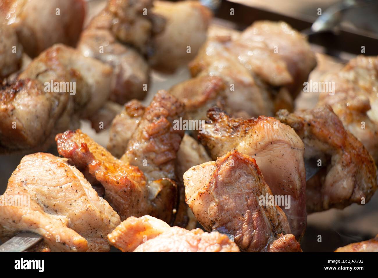 fried shish kebab on a fire in the forest on a picnic on skewers, roast shish kebab in nature, meat Stock Photo