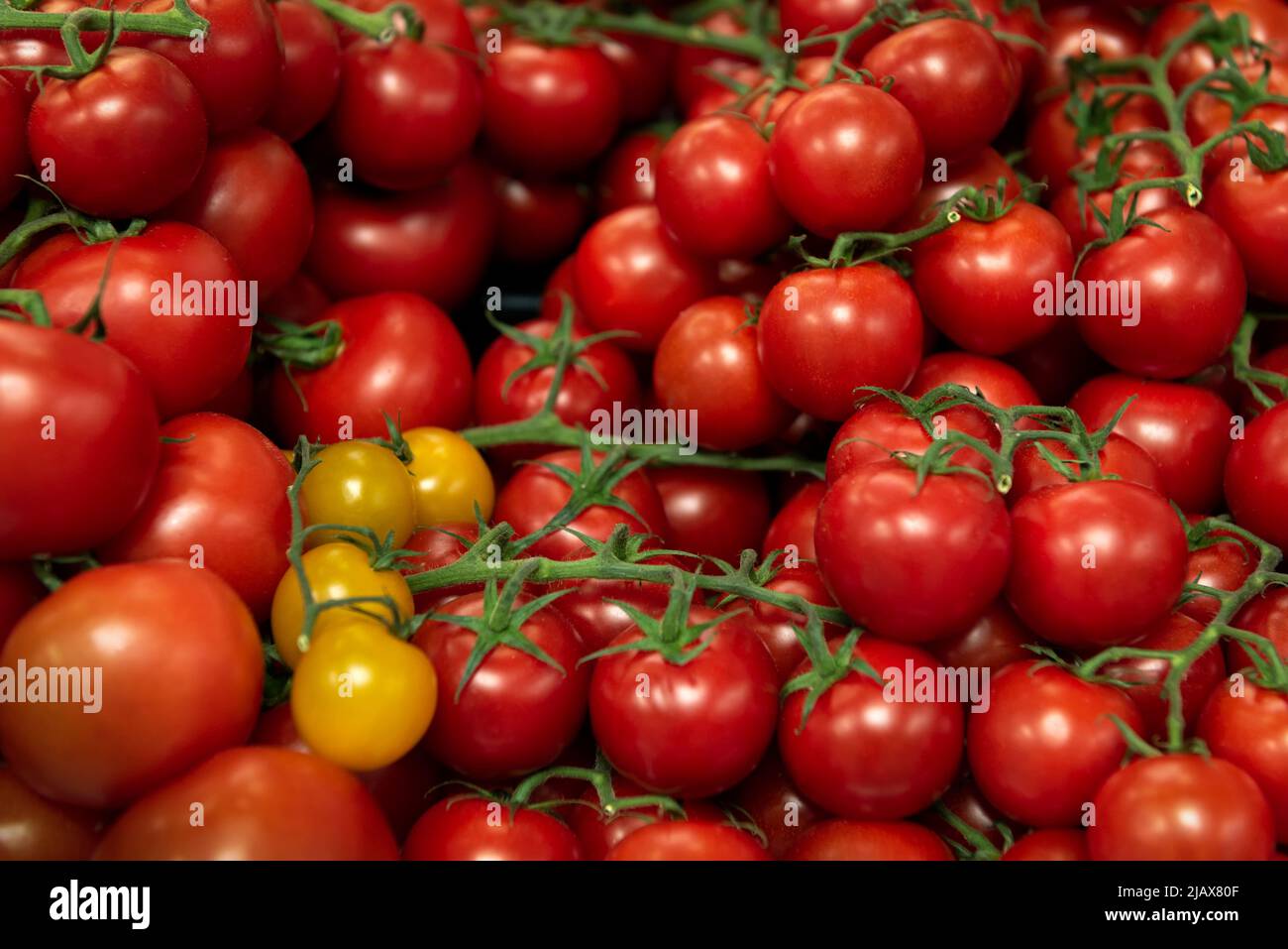 Red and Yellow cherry tomatoes Stock Photo - Alamy
