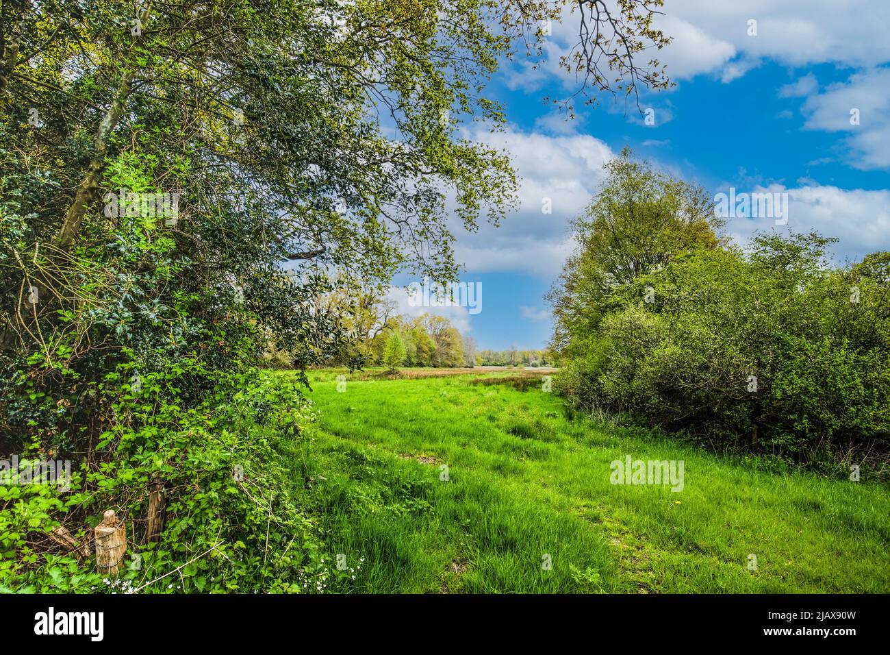 Landscape in spring with green meadows and wooded banks in the stream valley of Scheebroekerloop near the village of Anderen in the Dutch province of Stock Photo