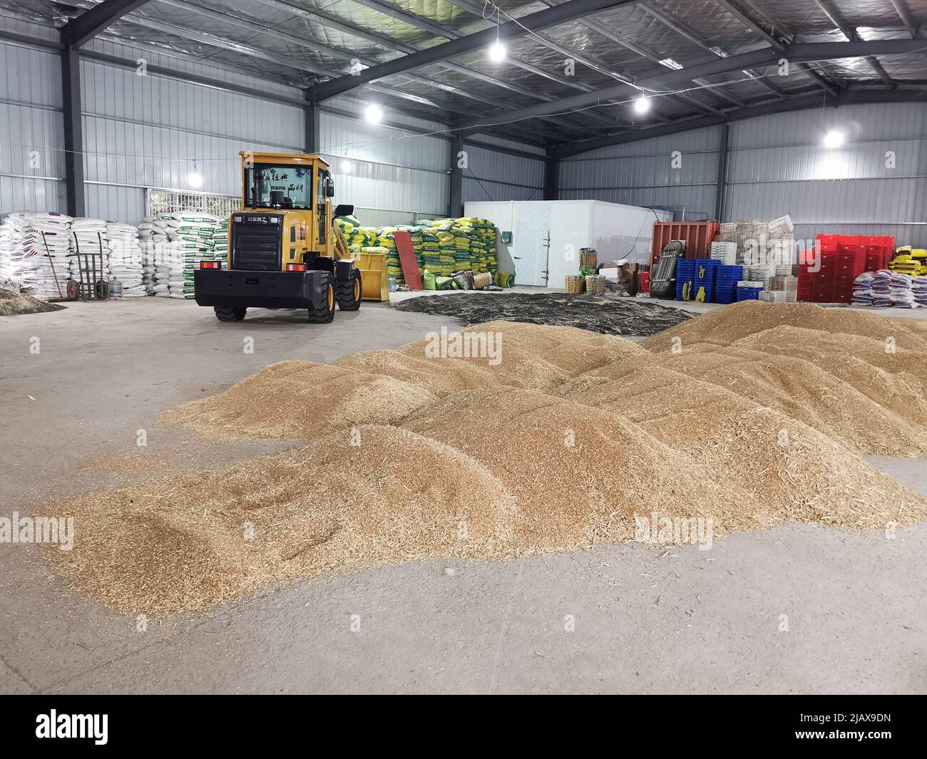 Tianmen. 19th May, 2022. Photo taken on May 19, 2022 shows harvested wheat and rapeseed at a storehouse of a cooperative in Tianmen City, central China's Hubei Province. TO GO WITH 'Across China: Farmer's museum in central China chronicles bygone era' Credit: Yue Wenwan/Xinhua/Alamy Live News Stock Photo