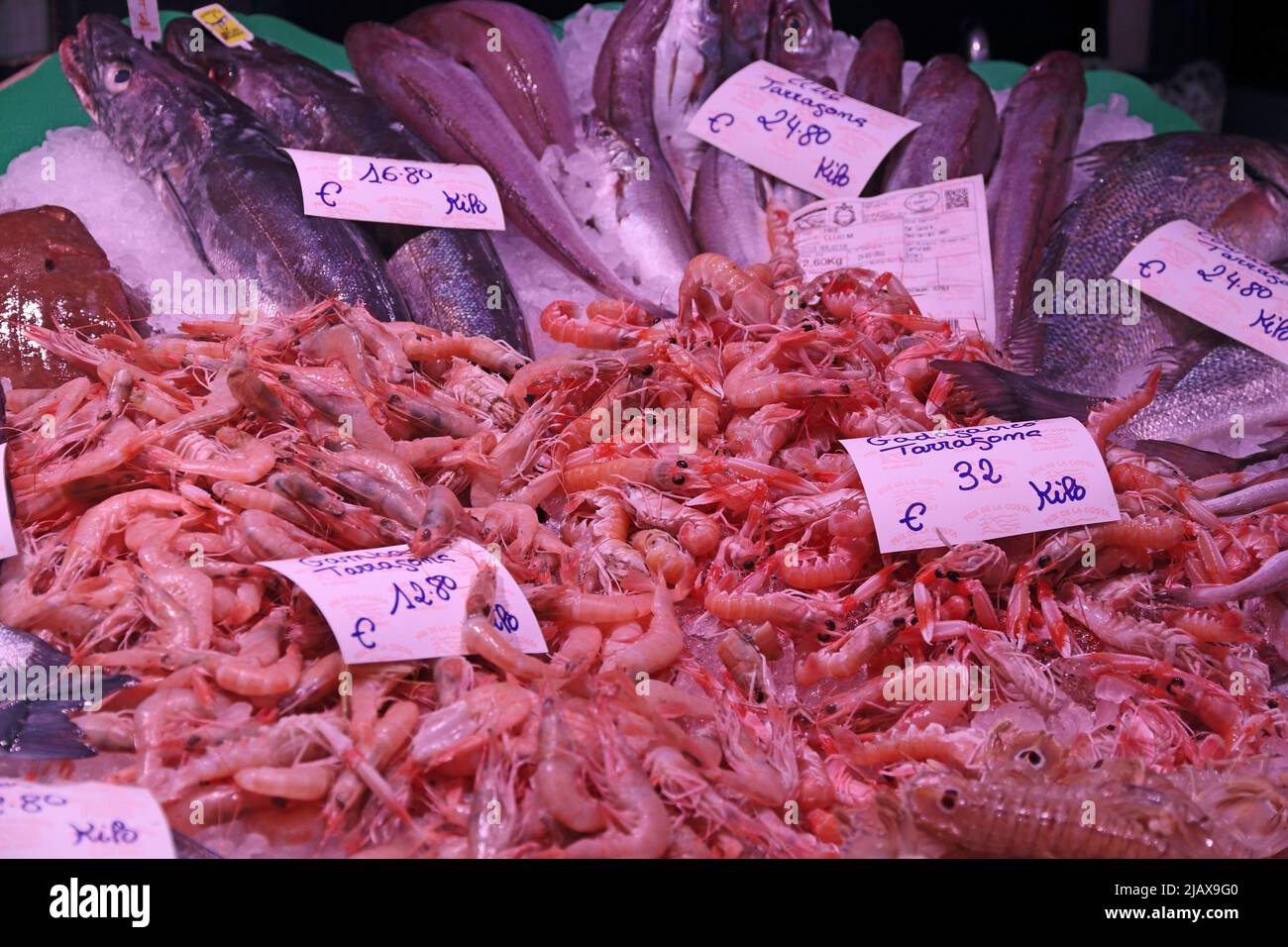 Various types of prawns and fish on sale on market stall, Tarragona Stock Photo