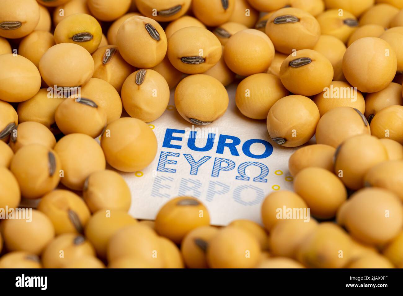 Soybeans and Euro banknote. Agriculture imports and exports, farming and biofuel concept Stock Photo
