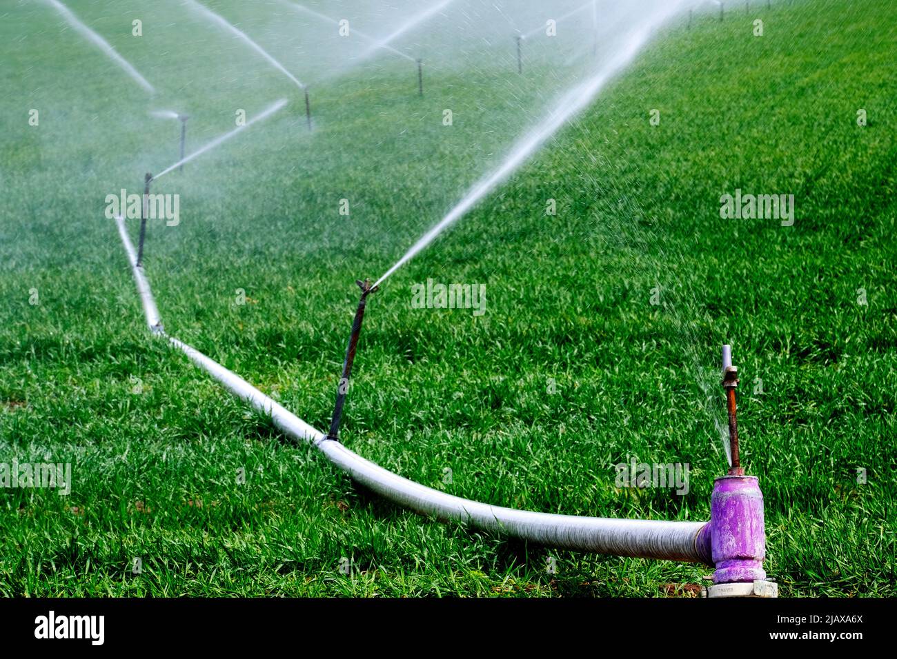 Sprinkler pipe with leaky valve and water leaking and spraying from