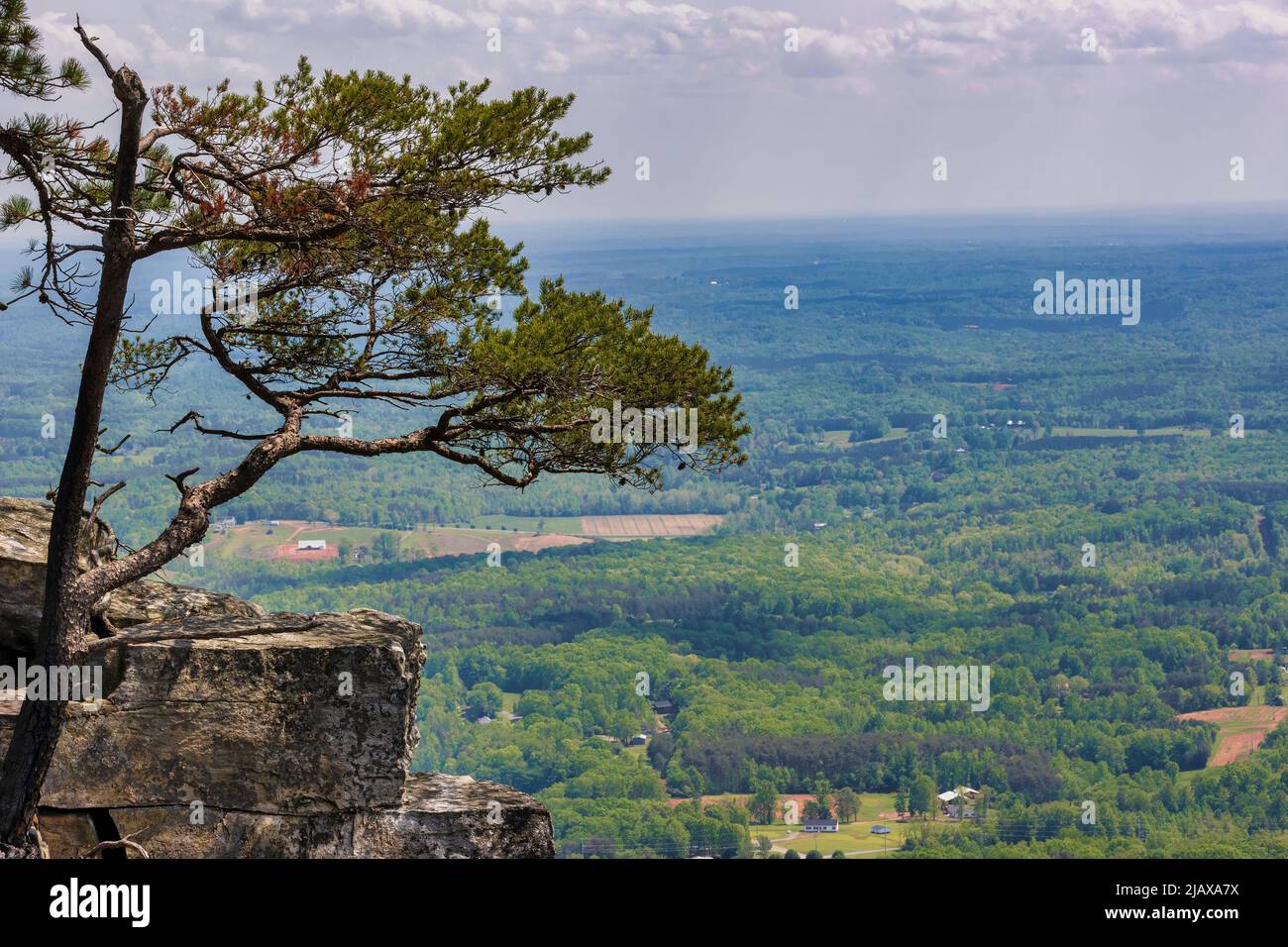 Pilot Mountains, 2421 feet above sea level, is what is left of the
