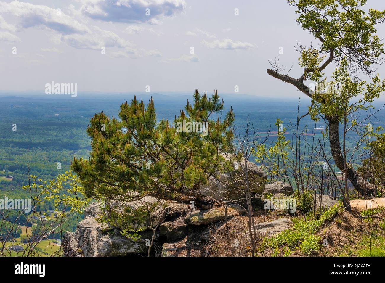 Pilot Mountains, 2421 feet above sea level, is what is left of the ancient chain of Sauratown Mountain In North Carolina. Stock Photo