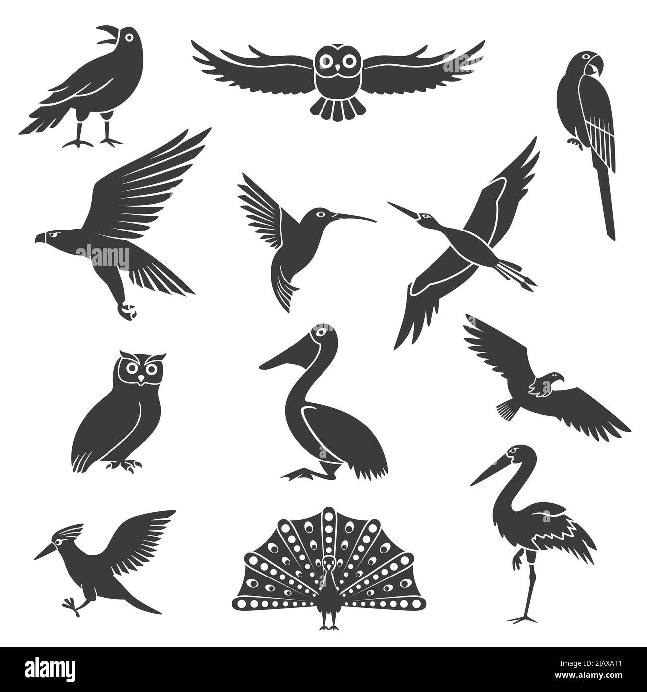Stylized wild and exotic birds silhouettes black icons collection with pelican soaring eagle and peacock isolated vector illustration Stock Vector