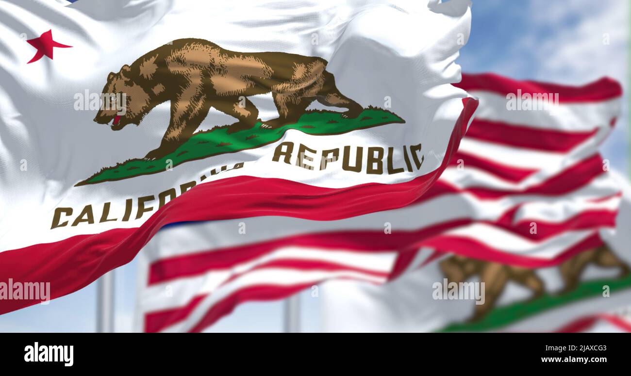 Two California state flags flying along with the national flag of the United States of America. In the background there is a clear sky. The flag depic Stock Photo