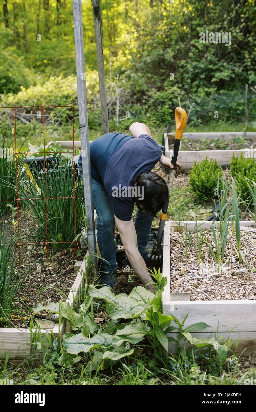Pulling weeds in the garden hi-res stock photography and images - Alamy