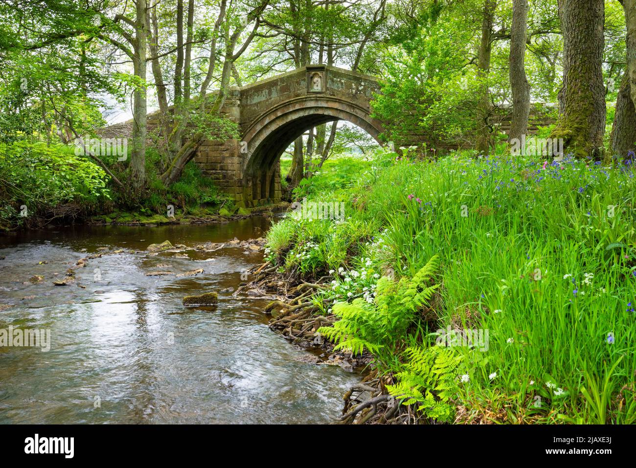 Hunters Sty Bridge an ancient 14th century packhorse bridge (restored in 1874) in Westerdale North York Moors National Park North Yorkshire England UK Stock Photo