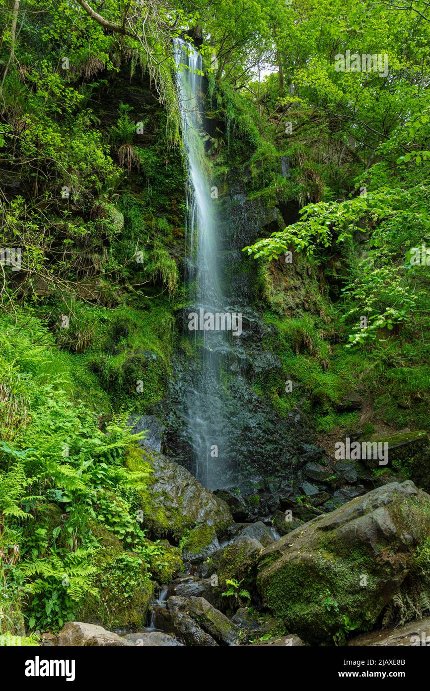 Mallyan Spout Waterfall in the moorland village of Goathland North York Moors National Park North Yorkshire England UK GB Europe Stock Photo