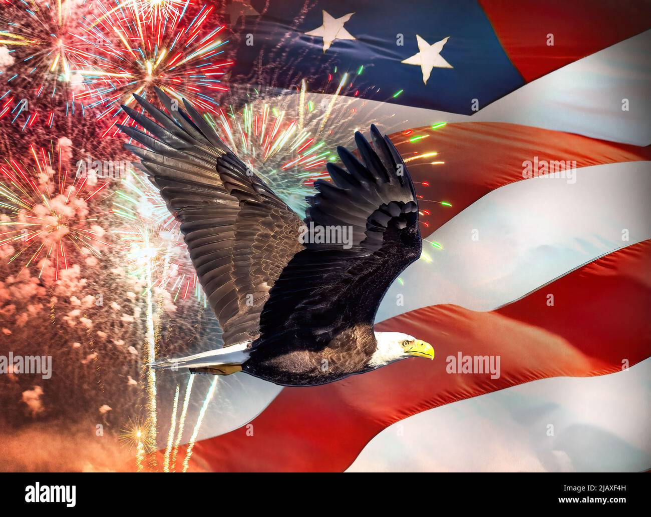 Bald Eagle flying against a background of the American flag and fireworks Stock Photo