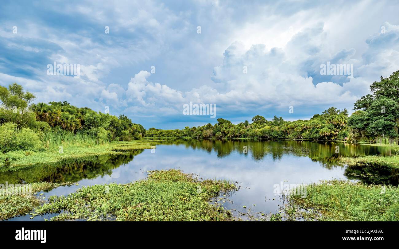 Cloudy day over the Myakka River in Deer Prairie Creek Preserve in Venice Florida USA Stock Photo