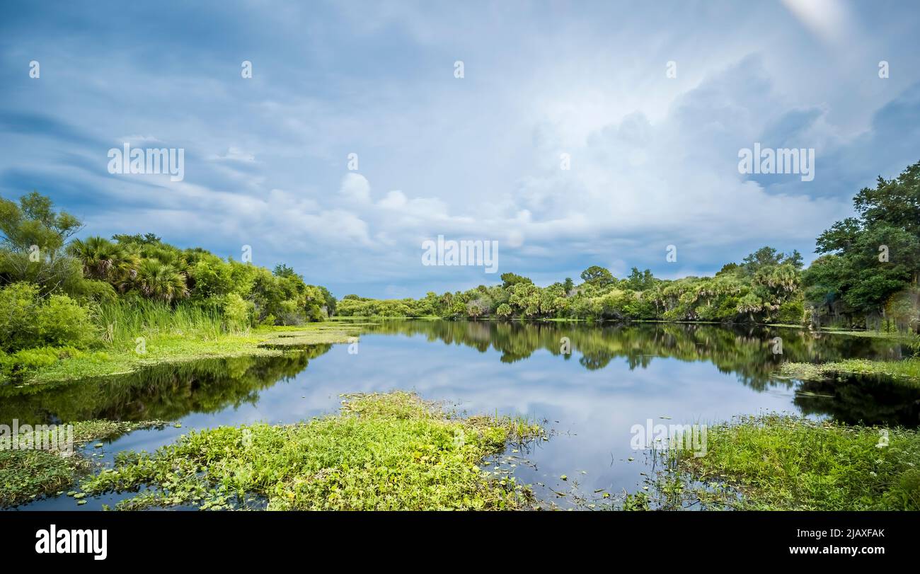 Cloudy day over the Myakka River in Deer Prairie Creek Preserve in Venice Florida USA Stock Photo