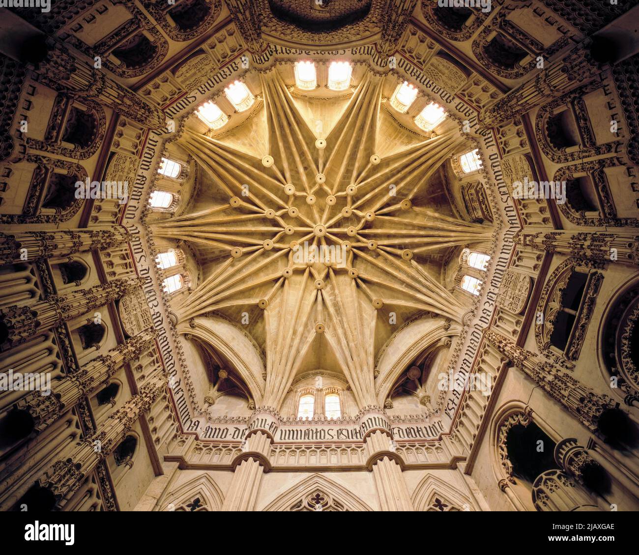 Murcia, Kathedrale, Capilla de los Vélez, Gewölbe Stock Photo