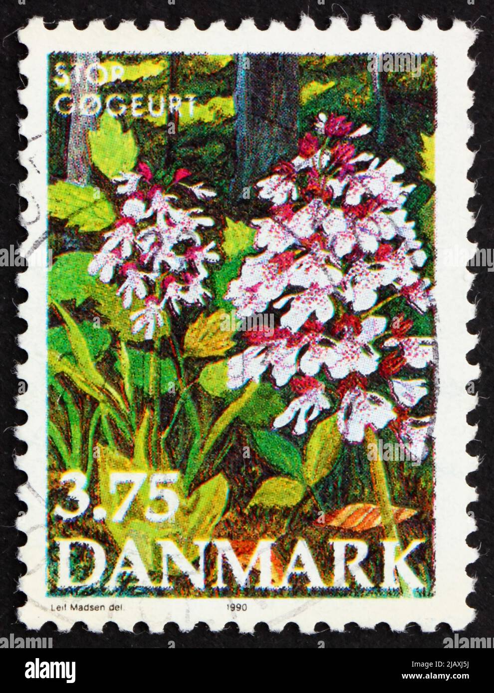 DENMARK - CIRCA 1990: a stamp printed in the Denmark shows Purple Orchis, Endangered Plant Species, circa 1990 Stock Photo