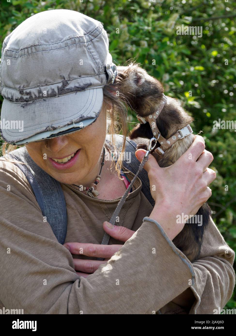 Pet ferret out for a walk with it's owner, Cornwall, UK Stock Photo