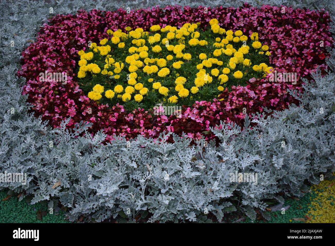Gardens In Bloom, Landscape Design elements. Flower garden. Landscaping and garden design. Spring blooming in the park. Red and pink begonia and marig Stock Photo