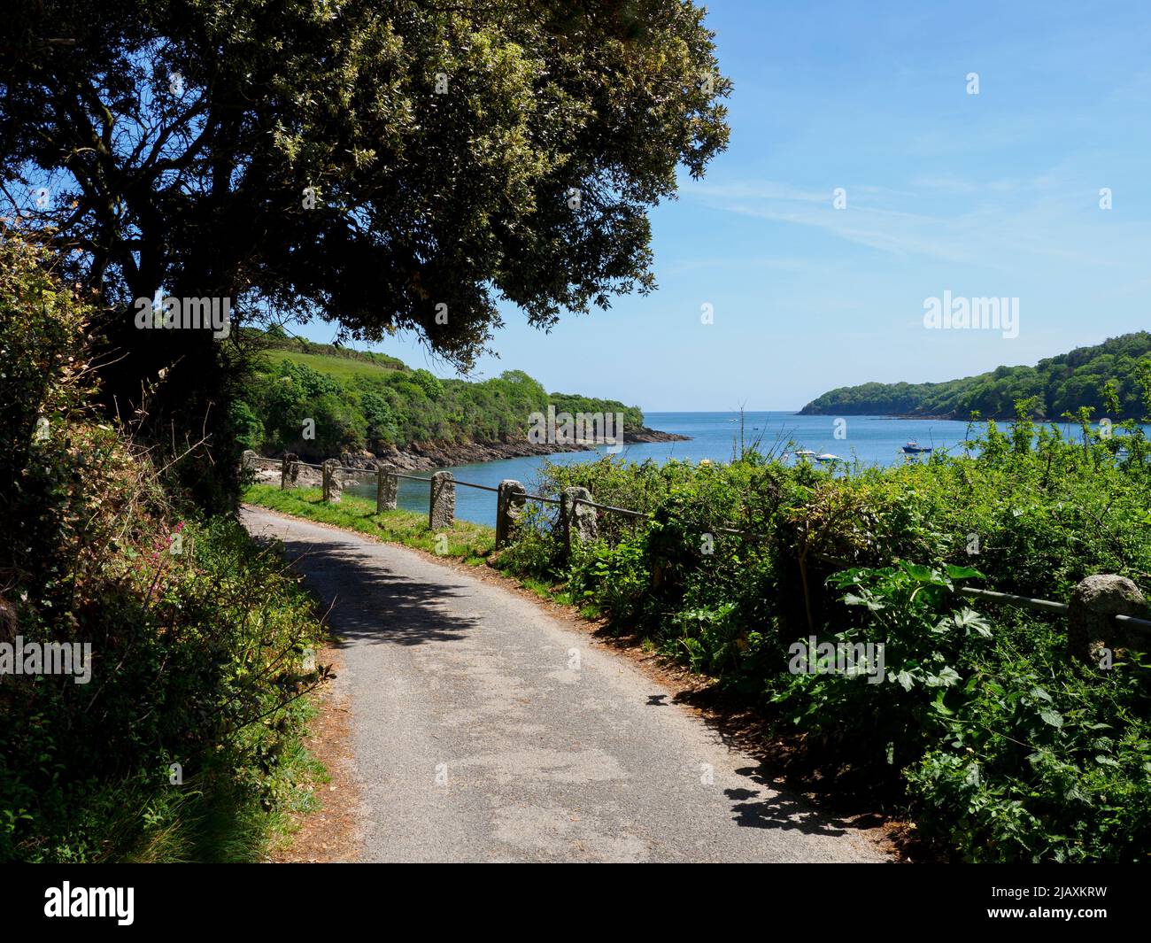 Very narrow road along the edge of the Helford River going from Helford passage village to Bar beach, Cornwall, UK Stock Photo