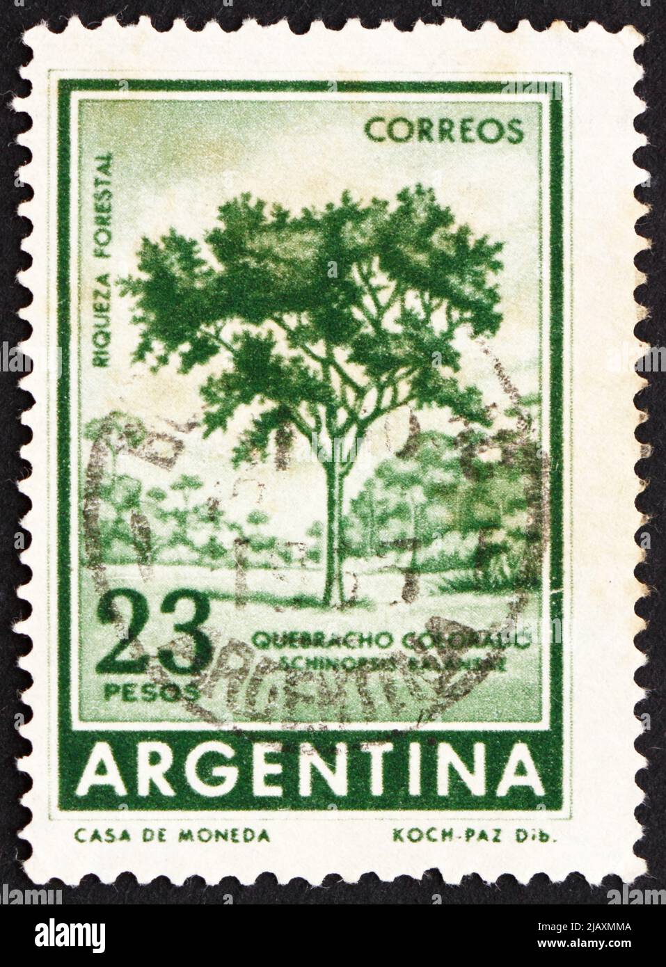 ARGENTINA - CIRCA 1965: a stamp printed in the Argentina shows Red Quebracho Tree, Schinopsis Lorentzii, circa 1965 Stock Photo