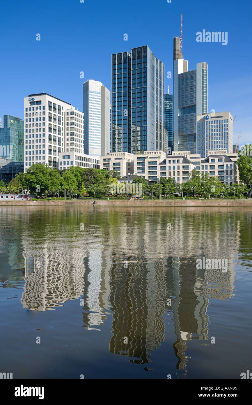 Main, Mainkai mit Mainuferpark, Skyline, Hochhäuser, Stadtzentrum