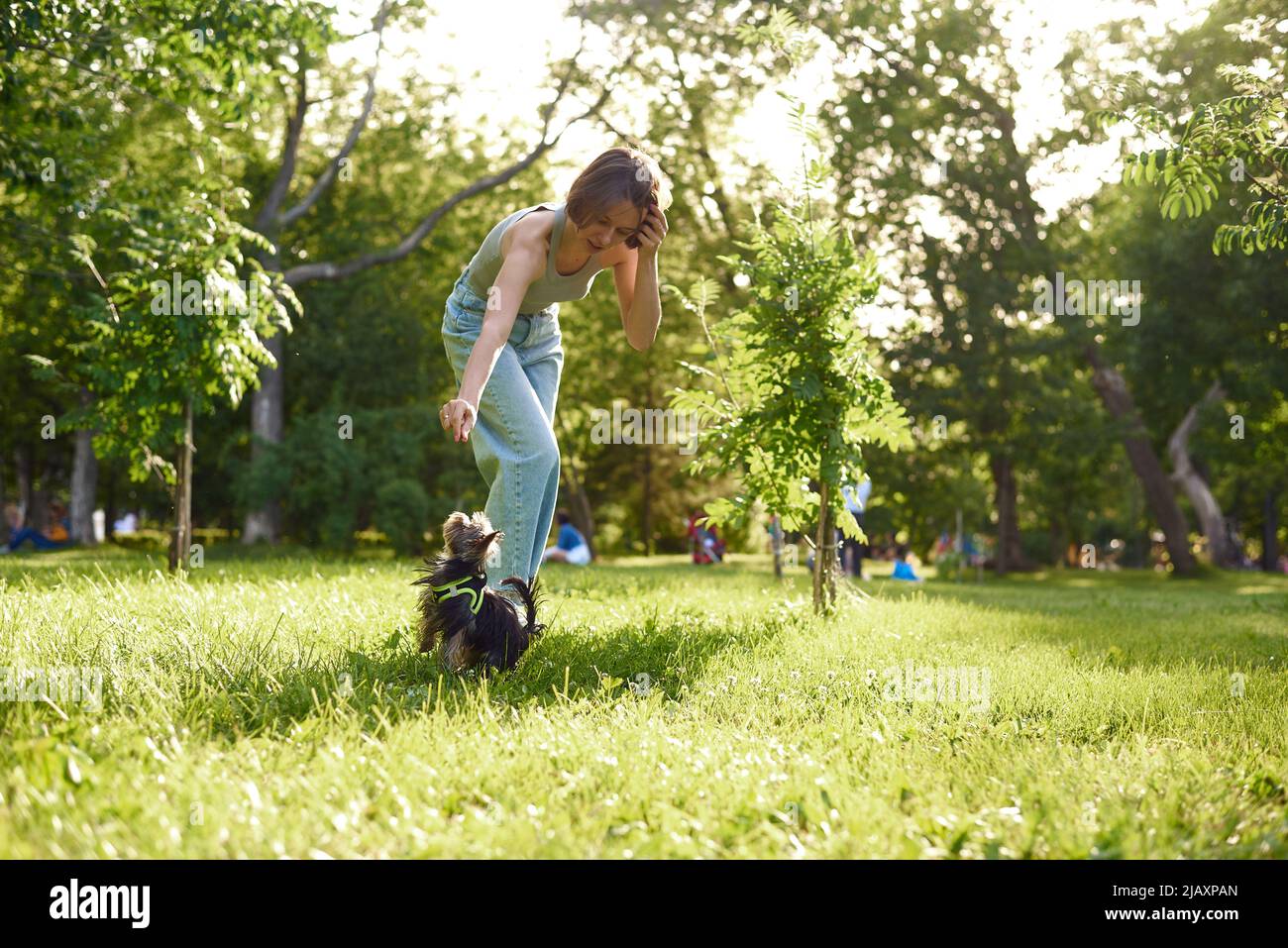 Woman training her dog at the park. A young girl runs and plays in a ...