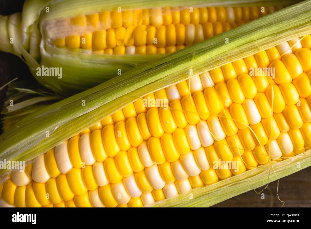 Fresh raw ripe corn close up Stock Photo