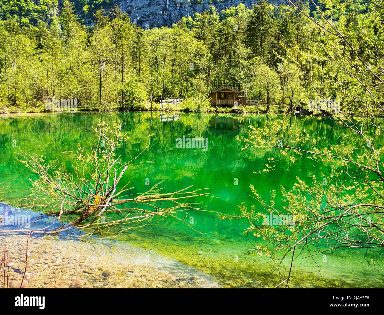 Spring day in the Bluntau Valley in the Tennengebirge Stock Photo Alamy