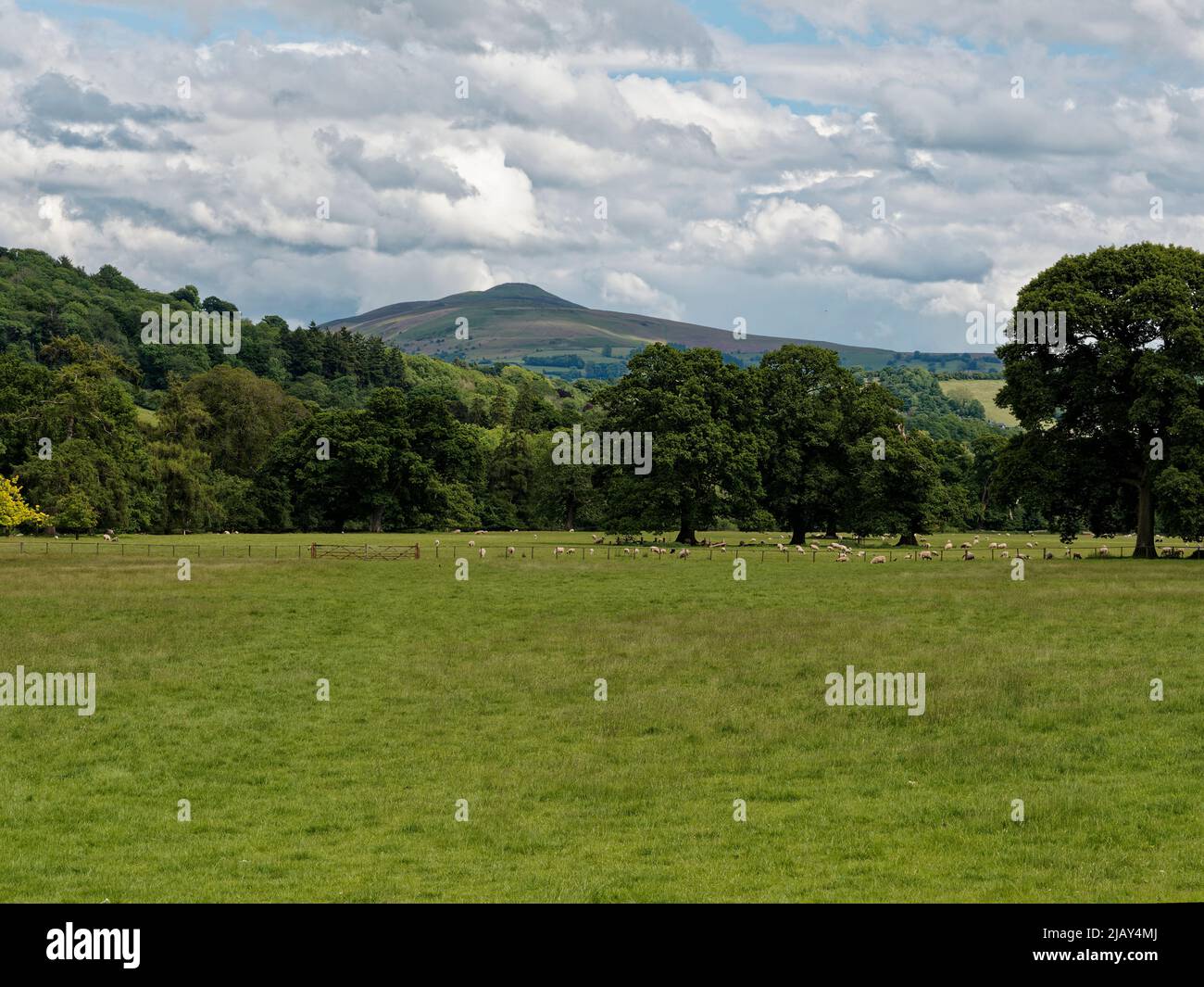 Glenusk Estate and Park , Powys. UK Stock Photo Alamy