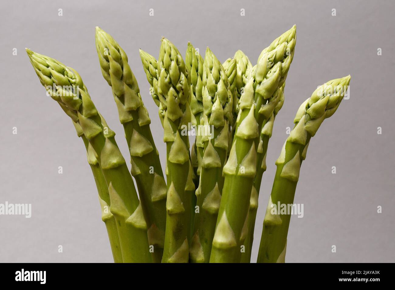 a bunch of asparagus on a neutral background Stock Photo