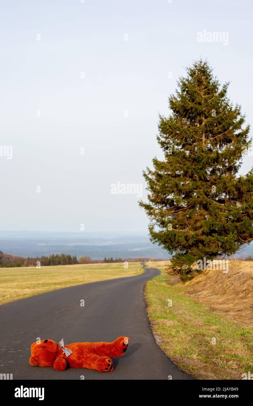 big brown teddy bear lying abandoned on the street Stock Photo - Alamy