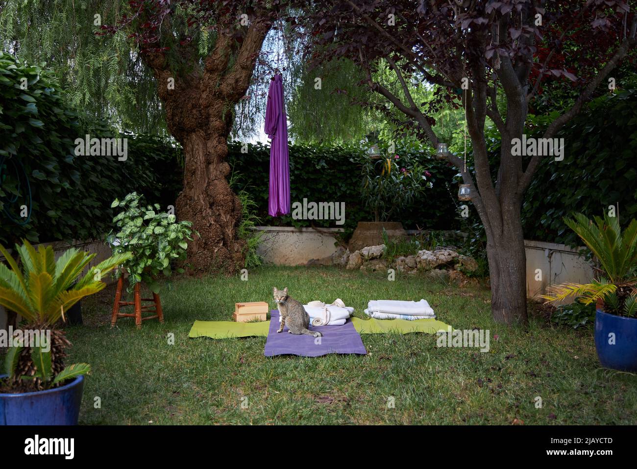 Yoga mat in the garden, yoga at home Stock Photo