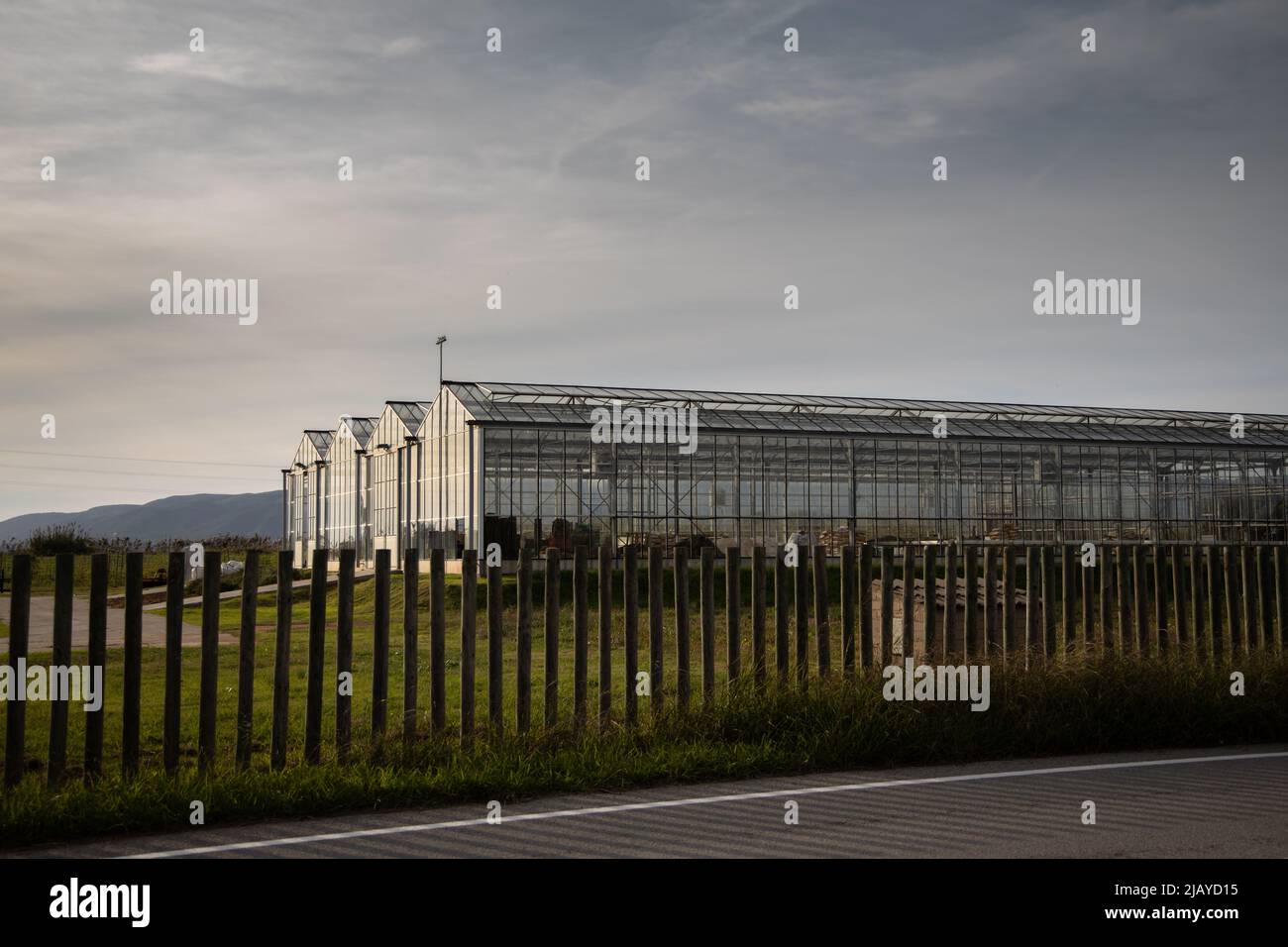 Glass greenhouses hi-res stock photography and images - Alamy