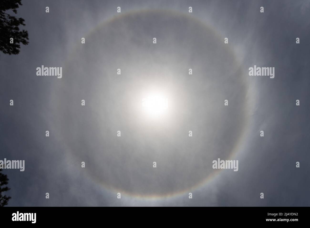 Halo optical phenomenon, circle around the sun in the sky Stock Photo