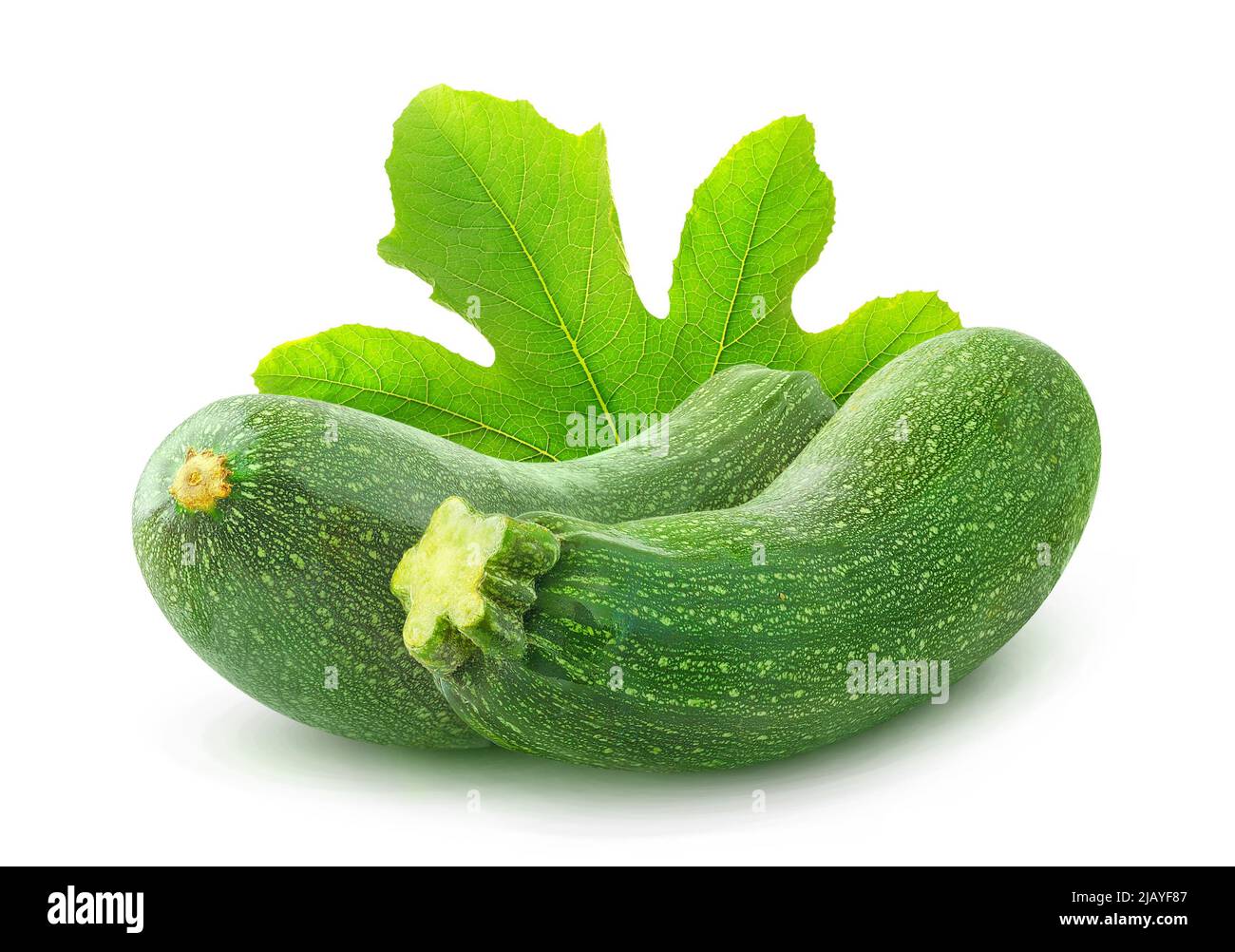 Two zucchini with leaf isolated on white background Stock Photo