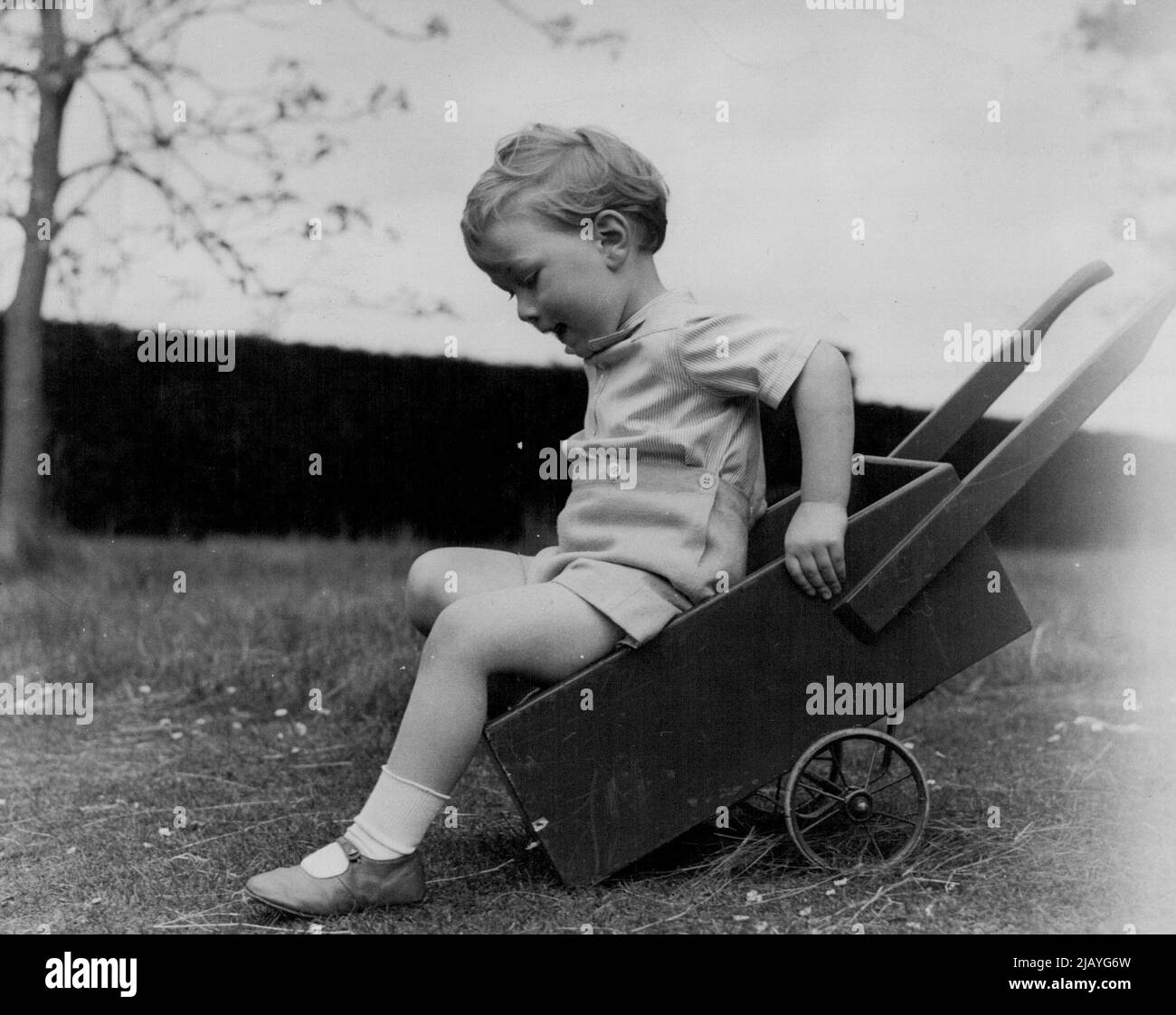 A new Picture of Prince William, son of the Duke and Duchess of