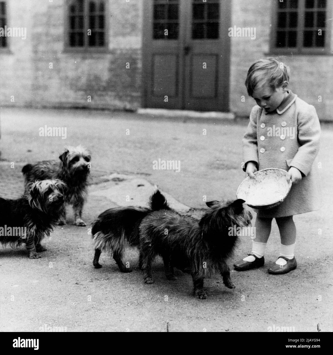 A new picture of Prince William, son of the Duke & Duchess of